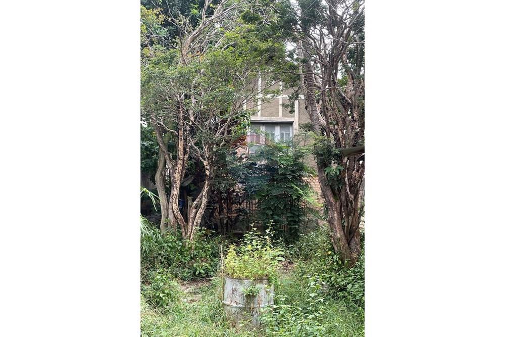 Terreno - Venda - Belo Horizonte , Minas Gerais - IMG_5771.JPG - 870411006-61