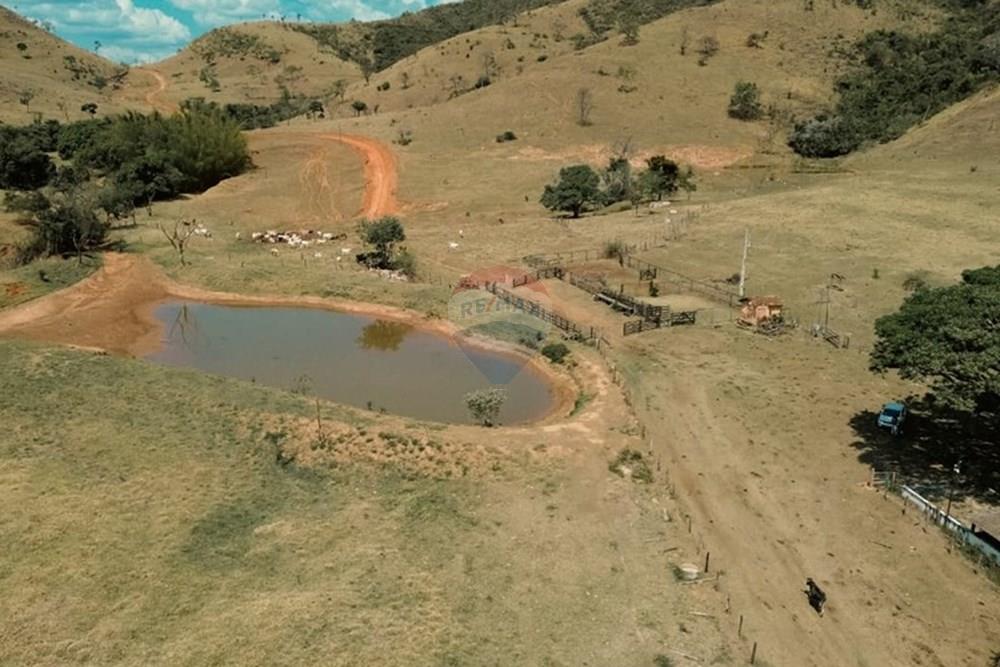 Chácara / Sítio / Fazenda - Venda - Fortaleza de Minas , Minas Gerais - 4.jpeg - 870601027-6