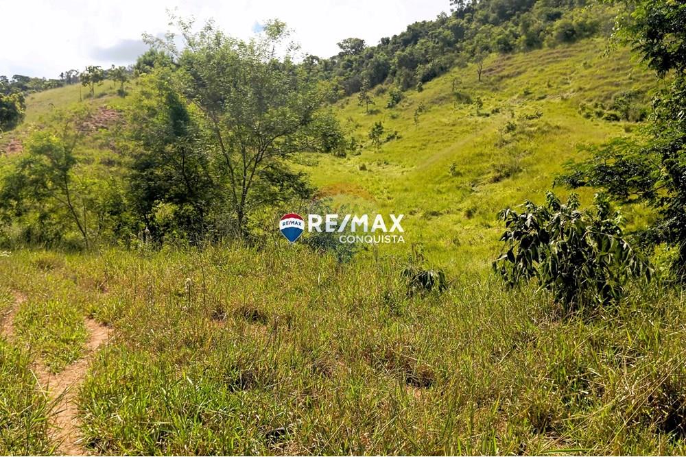 Chácara / Sítio / Fazenda - Venda - Conceição de Ipanema , Minas Gerais - 0_image_0_watermark_sáb._12042025_141657.jpg - 870451013-61