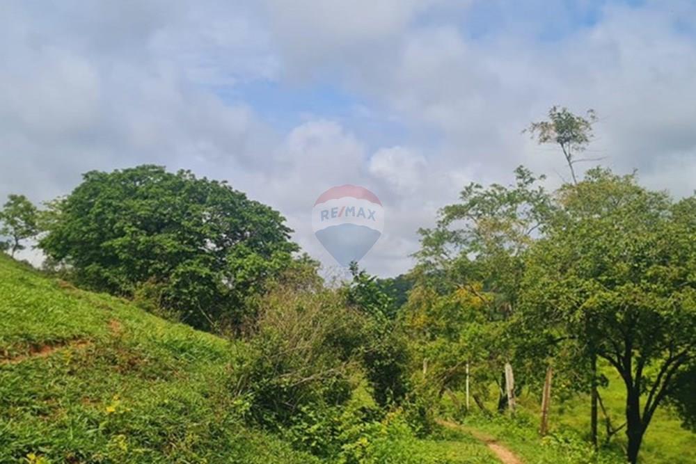 Fazenda - Venda - Pedro Leopoldo , Minas Gerais - WhatsApp Image 2025-12-11 at 15.20.34.jpeg - 870411117-34