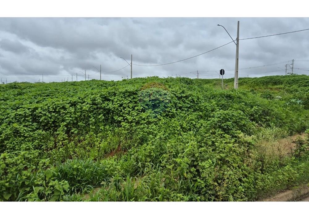 Terreno - Venda - Araxá , Minas Gerais - RODRIGO 5.jpeg - 870431054-10