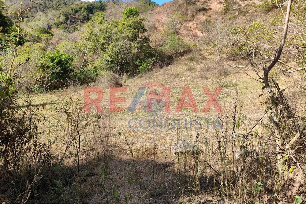 Chácara / Sítio / Fazenda - Venda - Ipanema , Minas Gerais - 1_image_1_watermark_seg._15092025_150754.jpg - 870451013-72