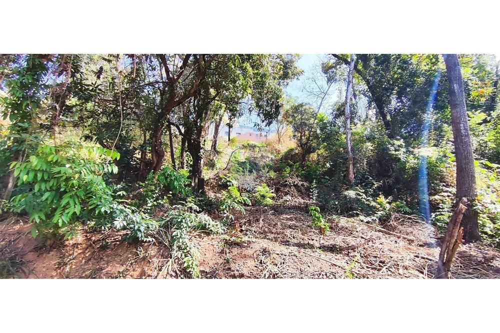 Terreno - Venda - Vespasiano , Minas Gerais - IMG_20250815_110050 (1).jpg - 870251115-3