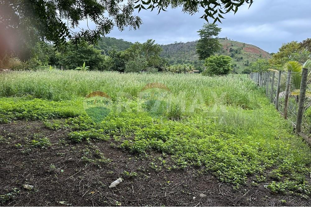 Chácara / Sítio / Fazenda - Venda - Ipanema , Minas Gerais - 2_image_2_watermark_ter._23122025_141336.jpg - 870451001-159