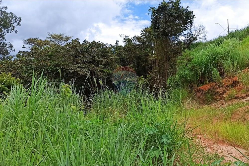 Chácara / Sítio / Fazenda - Venda - Ibirité , Minas Gerais - 11.jpg - 870421081-4