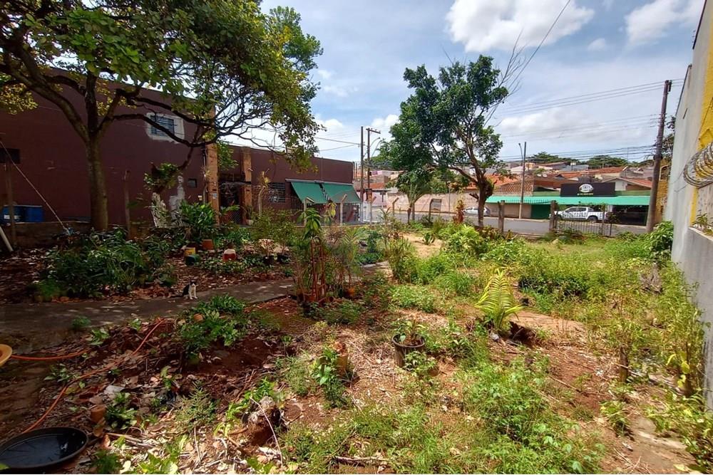 Terreno - Alugar - Uberaba , Minas Gerais - 06.jpeg - 870291025-85