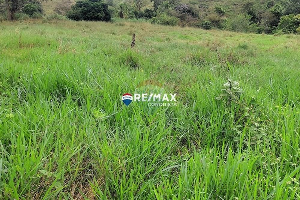 Terreno - Venda - Taparuba , Minas Gerais - 1_image_1_watermark_seg._12052025_112103.jpg - 870451001-127