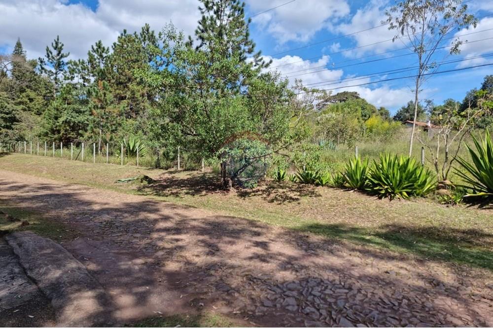 Terreno - Venda - Nova Lima , Minas Gerais - 17.jpeg - 870421084-16
