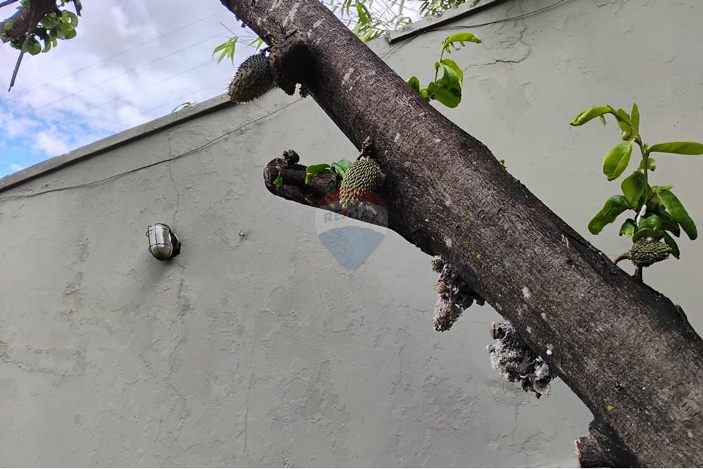 Casa - Venda - Belo Horizonte , Minas Gerais - FOTO40.jpg - 870241112-46