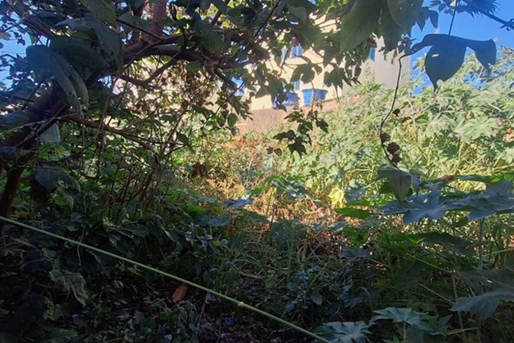 Terreno - Venda - Vespasiano , Minas Gerais - WhatsApp Image 2025-08-03 at 16.14.55.jpeg - 870411108-8