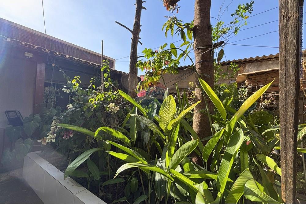 Casa - Venda - Belo Horizonte , Minas Gerais - 1447e339-591e-42e7-86d4-d57a56506070.jpg - Quintal - 870351012-224