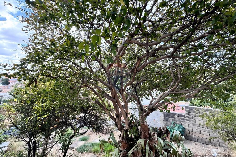 Casa - Venda - Belo Horizonte , Minas Gerais - IMG_1884.jpg - 870241106-37