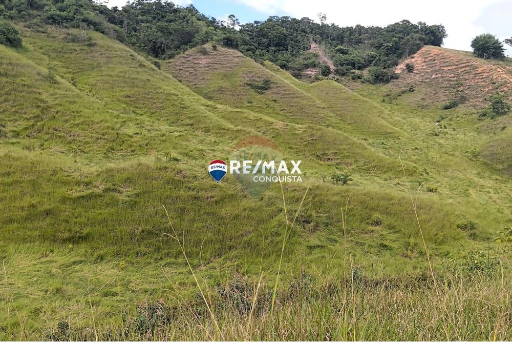 Chácara / Sítio / Fazenda - Venda - Conceição de Ipanema , Minas Gerais - 4_image_4_watermark_sáb._12042025_142030.jpg - 870451013-61