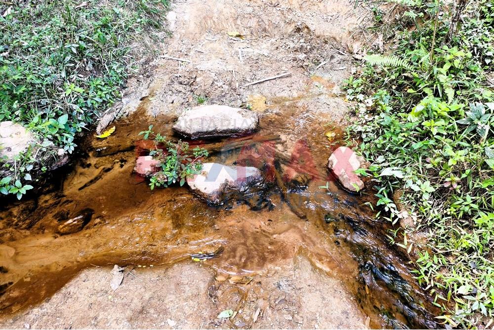 Chácara / Sítio / Fazenda - Venda - Ipanema , Minas Gerais - 8_image_8_watermark_seg._15092025_150714.jpg - 870451013-72