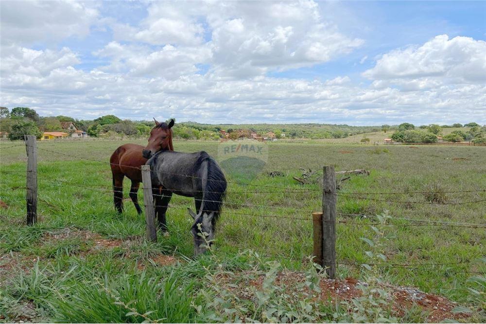 Terreno - Venda - Lagoa Santa , Minas Gerais - 18 - 870241010-38