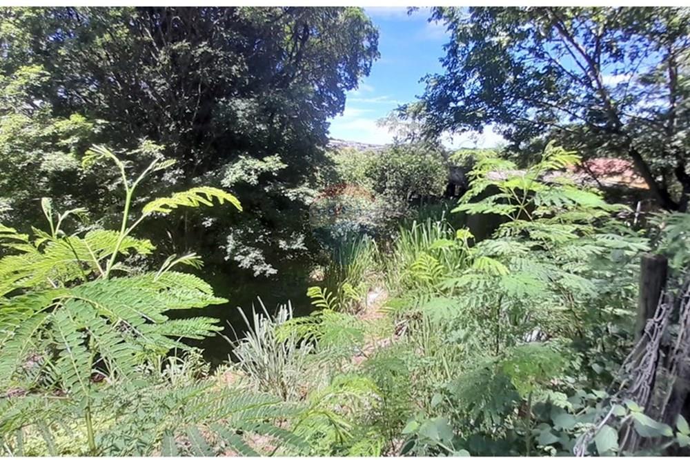 Terreno - Venda - Lagoa Santa , Minas Gerais - GLEBA FOTO7.jpg - 870421119-44