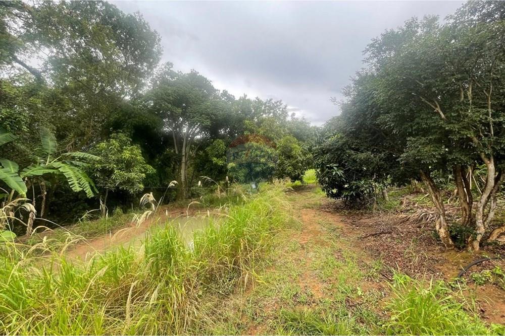 Fazenda - Venda - Araxá , Minas Gerais - 18.jpeg - Jardim Externo - 870431045-58