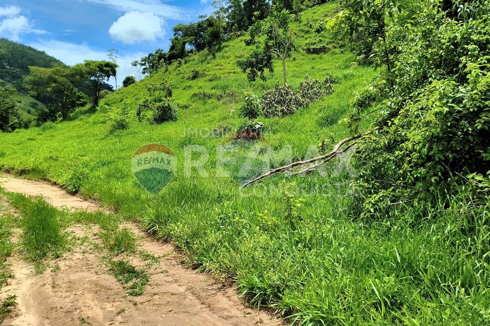 Chácara / Sítio / Fazenda - Venda - Taparuba , Minas Gerais - 4_image_4_watermark_ter._17022026_130733.jpg - 870451001-165