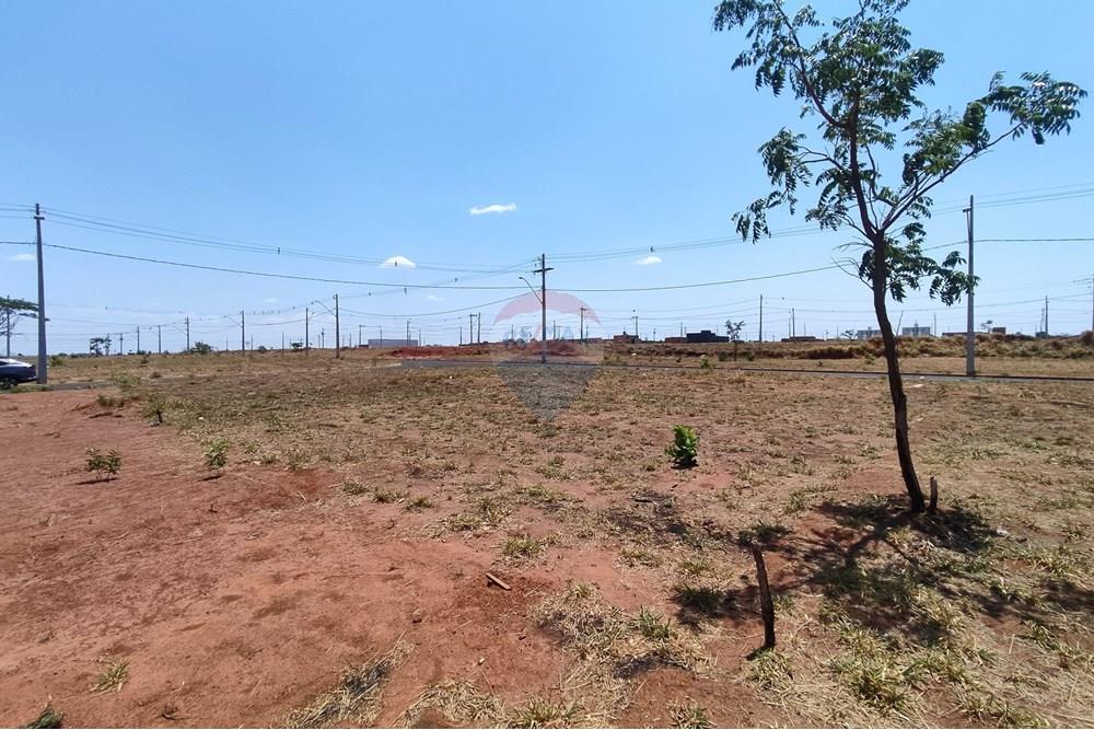 Terreno - Venda - Uberlândia , Minas Gerais - IMG_20251007_121727.jpg - 870381037-1