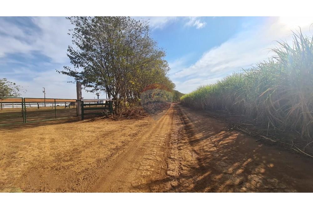 Fazenda - Venda - Uberaba , Minas Gerais - 28 Fazenda Venda R$ 6.500.000 em Uberaba na Remax 870291025-116.jpeg - 870291025-116