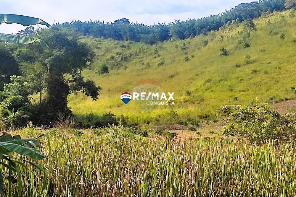 Chácara / Sítio / Fazenda - Venda - Ipanema , Minas Gerais - 2_IMG_20240515_085403_watermark_dom._23062024_101018.jpg - 870451001-121