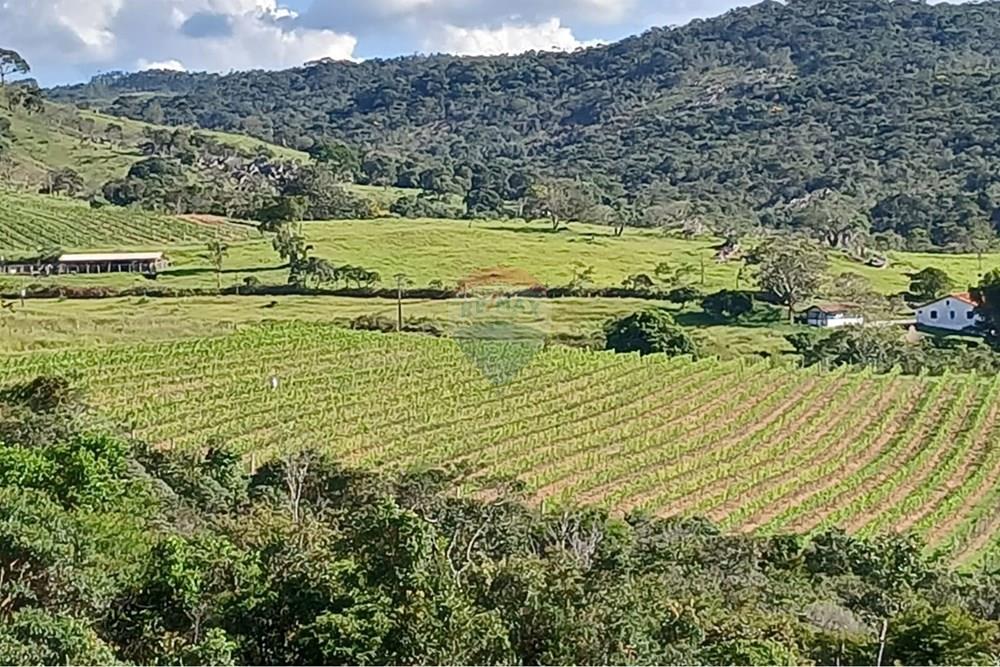 Fazenda - Venda - Serro , Minas Gerais - WhatsApp Image 2025-11-22 at 10.11.39 (2).jpeg - 870411101-18