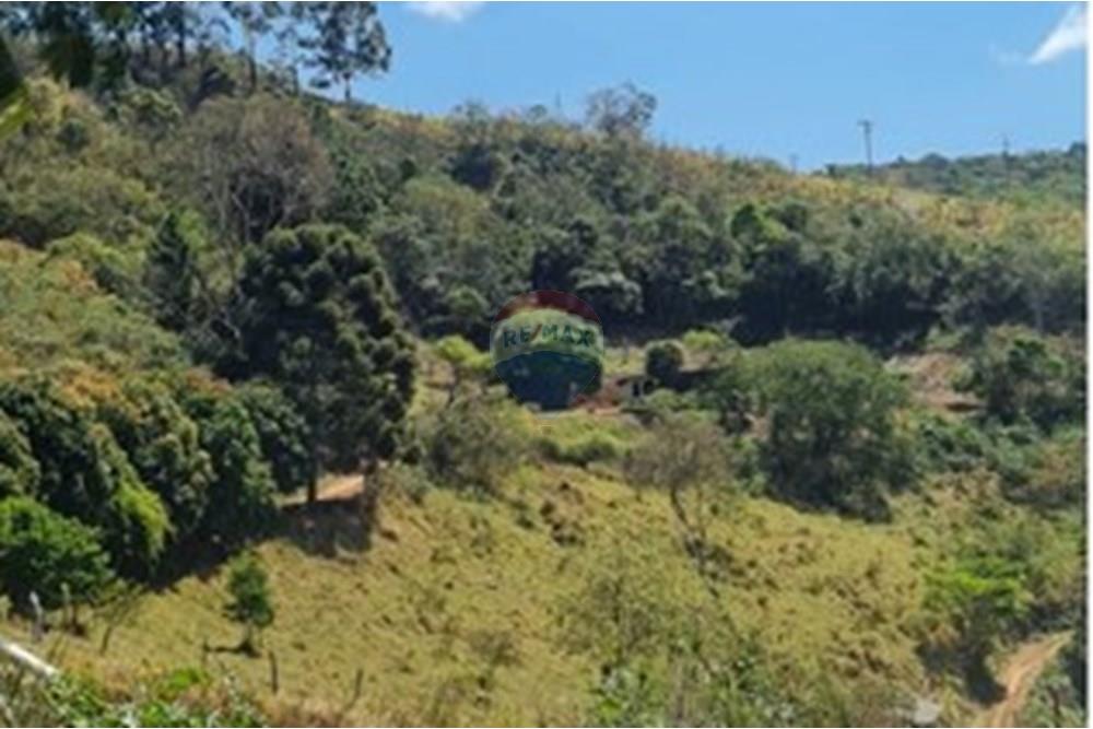 Chácara / Sítio / Fazenda - Venda - Casa Grande , Minas Gerais - foto 38.jpeg - 870411117-20