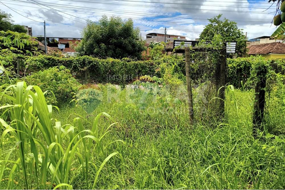 Terreno - Venda - Ipanema , Minas Gerais - 8_image_8_watermark_sex._19122025_100452.jpg - 870451004-112