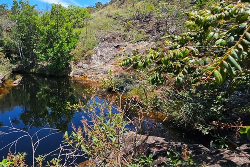 Chácara / Sítio / Fazenda - Venda - Delfinópolis , Minas Gerais - WhatsApp Image 2025-11-04 at 16.23.49 (1).jpeg - 870721005-23