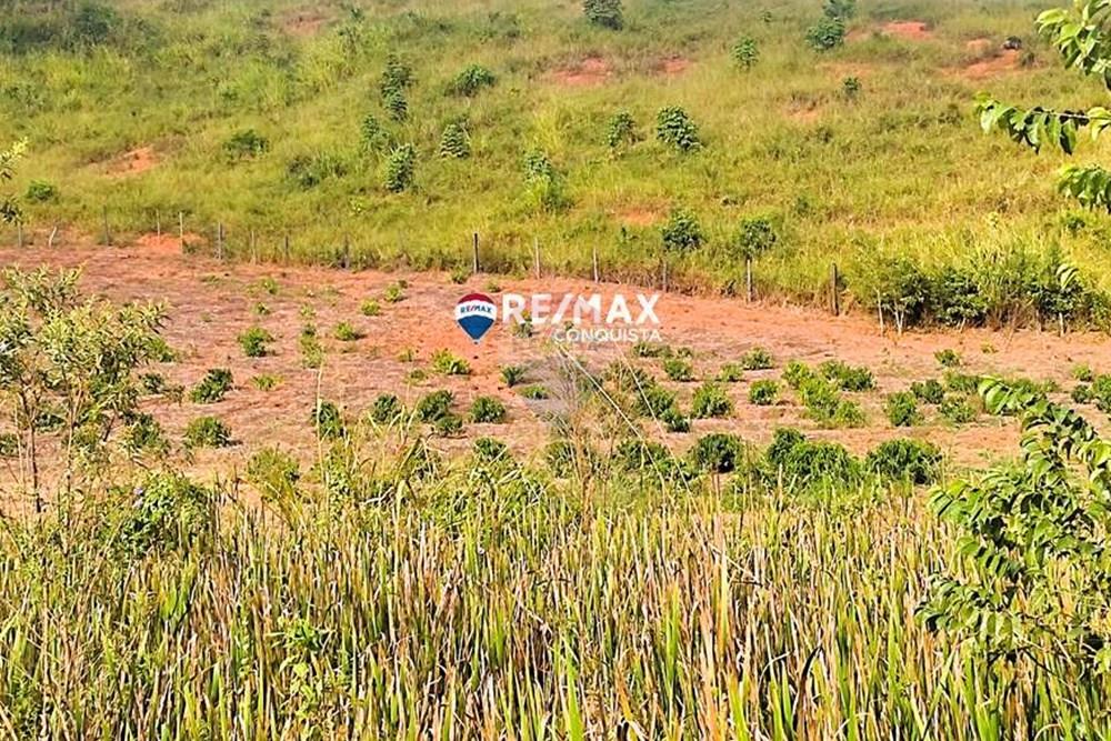 Chácara / Sítio / Fazenda - Venda - Ipanema , Minas Gerais - 3_IMG_20240515_085400_watermark_dom._23062024_101019.jpg - 870451001-121