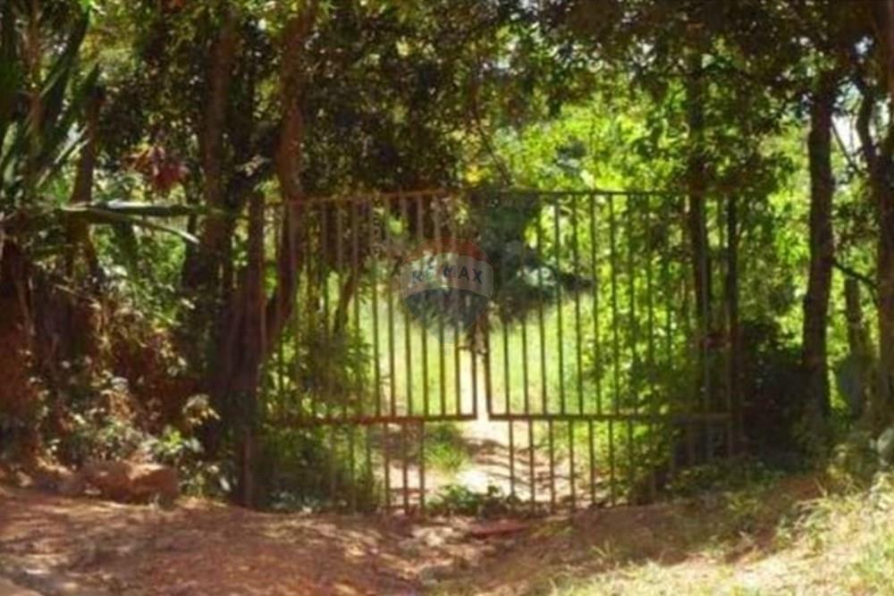 Terreno - Venda - Nova Lima , Minas Gerais - Foto terreno Campo do Pires 9.jpeg - 870241097-38