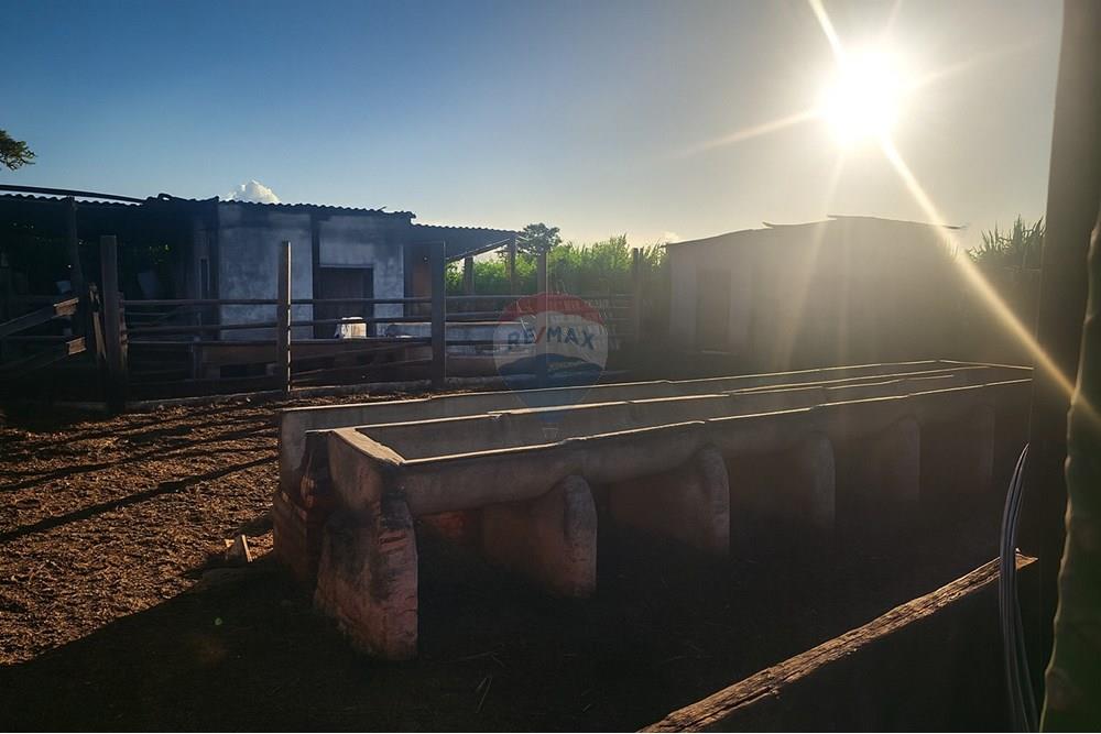 Chácara / Sítio / Fazenda - Venda - Ibirité , Minas Gerais - 6fc7d970-0ccd-4d86-9713-bc09f49e6acc (1).jpeg - 870241024-77