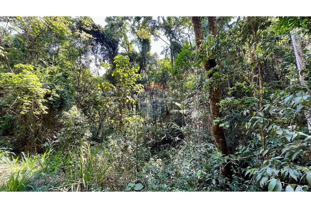 Terreno - Venda - Nova Lima , Minas Gerais - WhatsApp Image 2025-11-04 at 10.48.11 (7).jpeg - 870351032-24