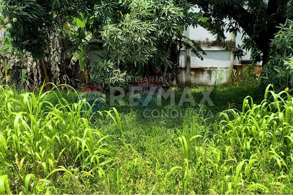 Terreno - Venda - Ipanema , Minas Gerais - 8_image_8_watermark_sex._19122025_100529.jpg - 870451004-112