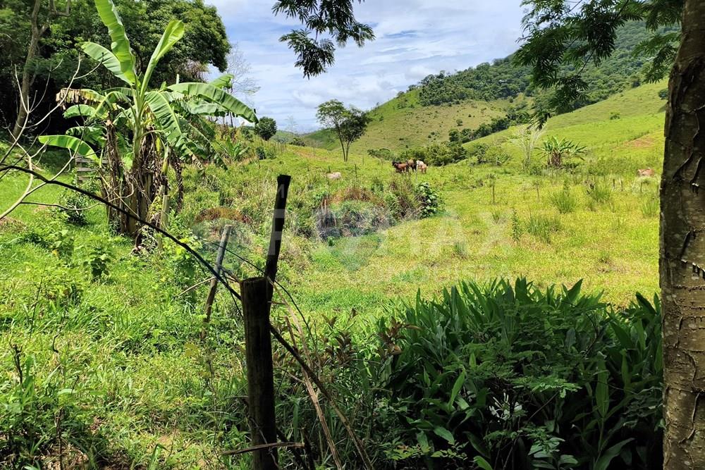 Chácara / Sítio / Fazenda - Venda - Taparuba , Minas Gerais - 6_image_6_watermark_ter._17022026_130810.jpg - 870451001-165