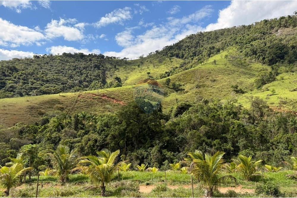 Chácara / Sítio / Fazenda - Venda - Ipatinga , Minas Gerais - WhatsApp Image 2025-11-12 at 17.37.11 (1).jpeg - 870711007-44