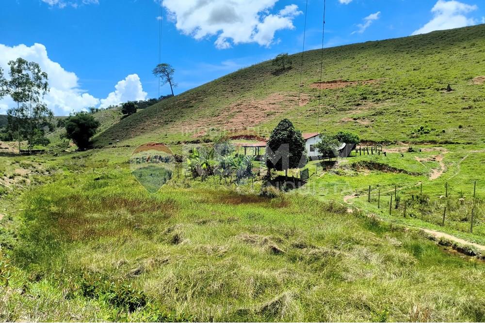 Chácara / Sítio / Fazenda - Venda - Taparuba , Minas Gerais - 6_image_6_watermark_sex._19122025_102307.jpg - 870451001-158