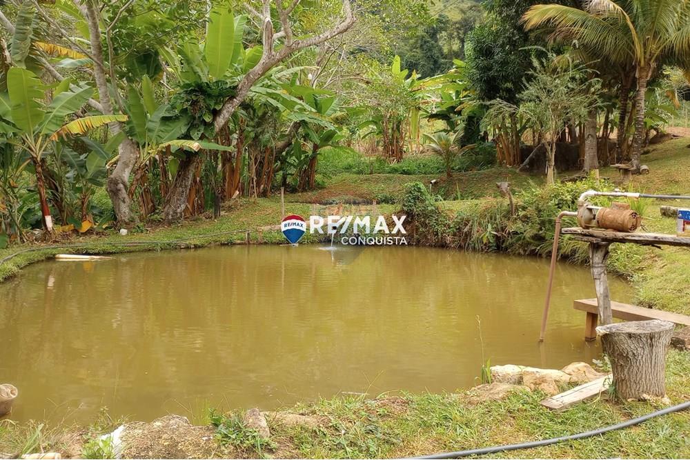 Chácara / Sítio / Fazenda - Venda - Ipanema , Minas Gerais - 4_image_4_watermark_seg._12052025_100735.jpg - 870451004-100