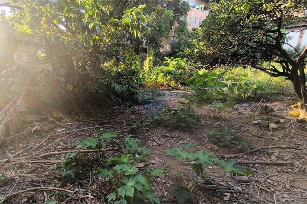 Terreno - Venda - Ibirité , Minas Gerais - 1744312819507.jpg - 870421081-6