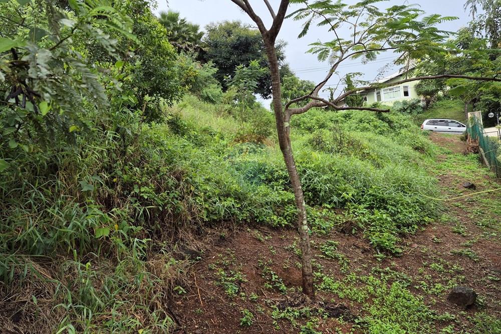 Terreno - Venda - Nova Lima , Minas Gerais - 20260318_105222.jpg - 870421084-35