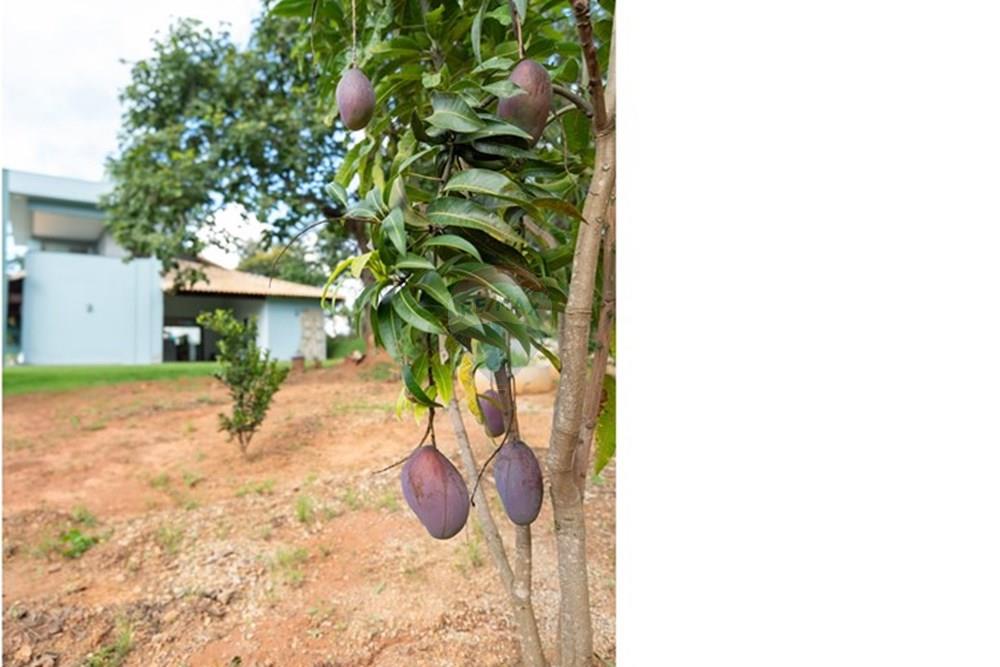 Casa de Condomínio - Venda - Igarapé , Minas Gerais - DSC00155.jpg - 870411113-23