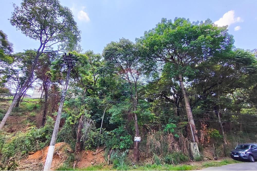 Terreno - Venda - Vespasiano , Minas Gerais - IMG_20251130_125808.jpg - 870251115-3