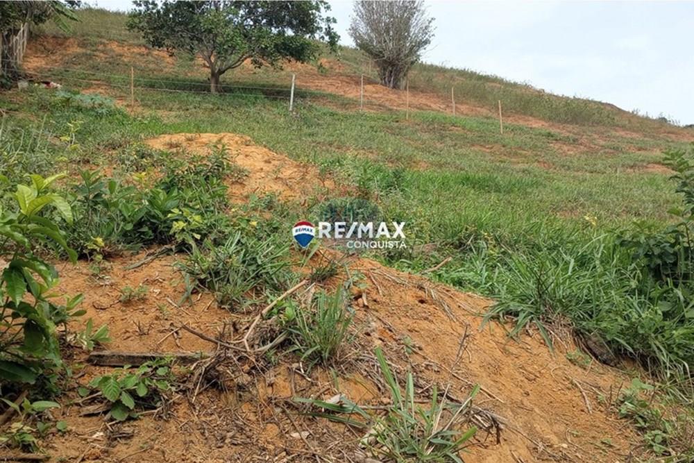 Terreno - Venda - Ipanema , Minas Gerais - 7_image_7_watermark_seg._05052025_142533.jpg - 870451004-98