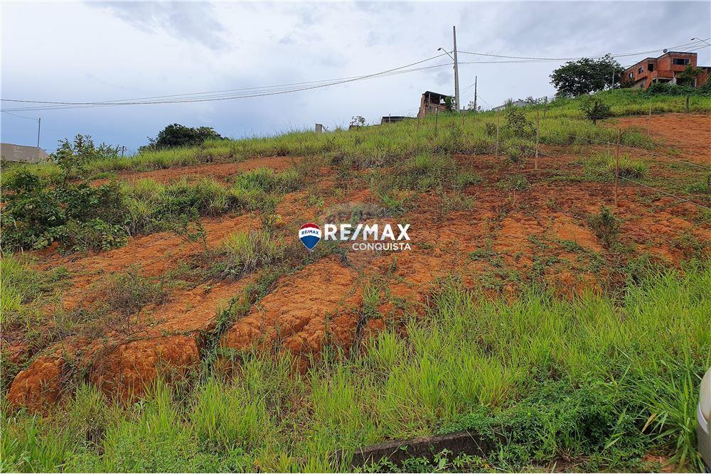 Terreno - Venda - Ipanema , Minas Gerais - 23 - 870451004-110