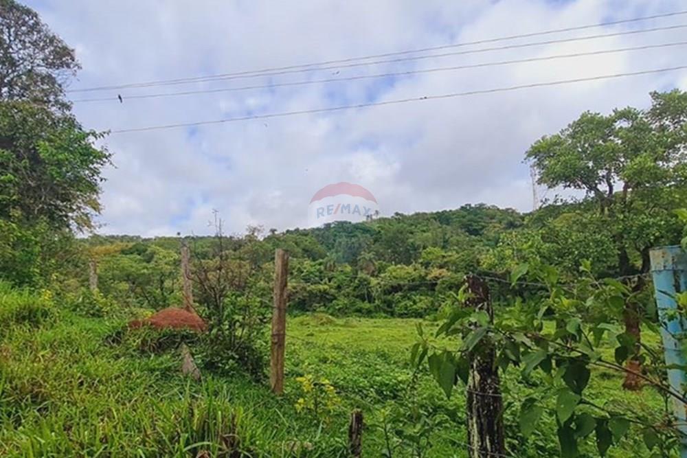 Fazenda - Venda - Pedro Leopoldo , Minas Gerais - WhatsApp Image 2025-12-11 at 15.19.17 (2).jpeg - 870411117-34