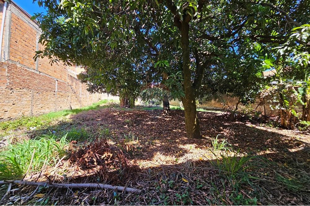 Terreno - Venda - Contagem , Minas Gerais - 20250412_094904.jpg - Fachada - 870411099-17