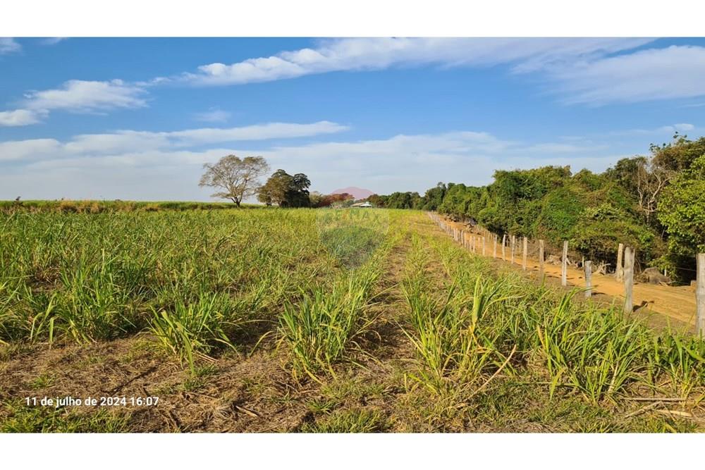 Fazenda - Venda - Uberaba , Minas Gerais - (12).jpeg - 870291025-116