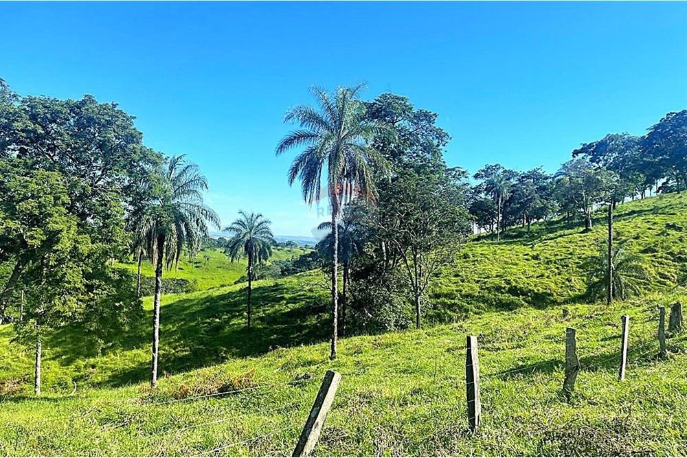 Chácara / Sítio / Fazenda - Venda - Araxá , Minas Gerais - 04.1.jpg - 870431045-37