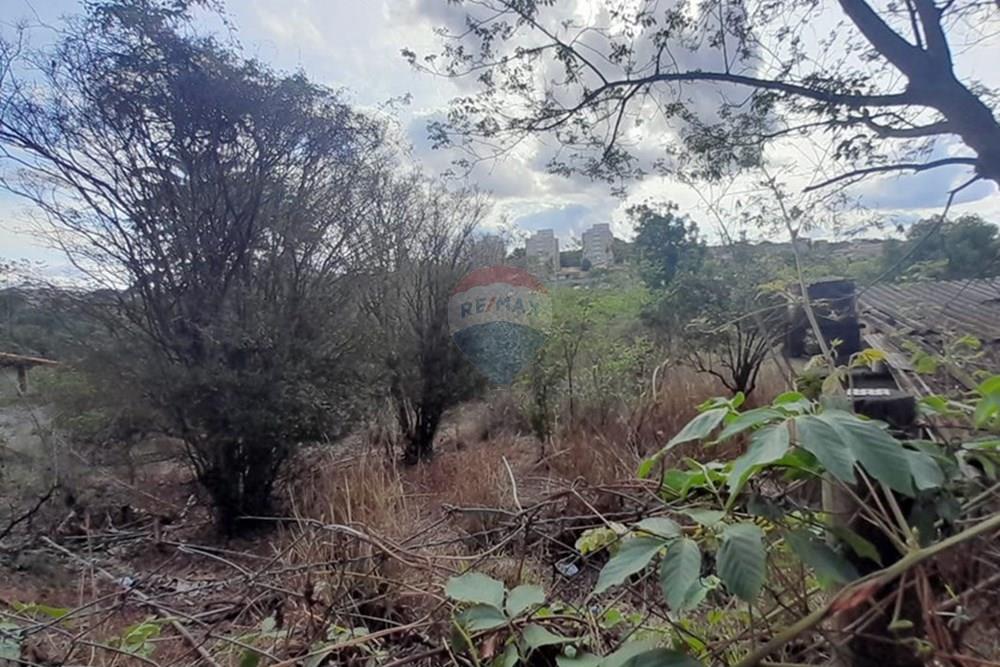 Terreno - Venda - Lagoa Santa , Minas Gerais - FOTO3.jpg - 870421119-44