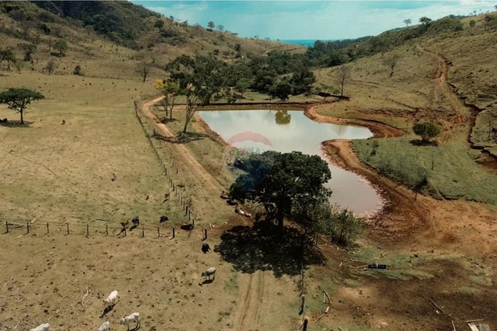 Chácara / Sítio / Fazenda - Venda - Fortaleza de Minas , Minas Gerais - 6.jpeg - 870601027-6